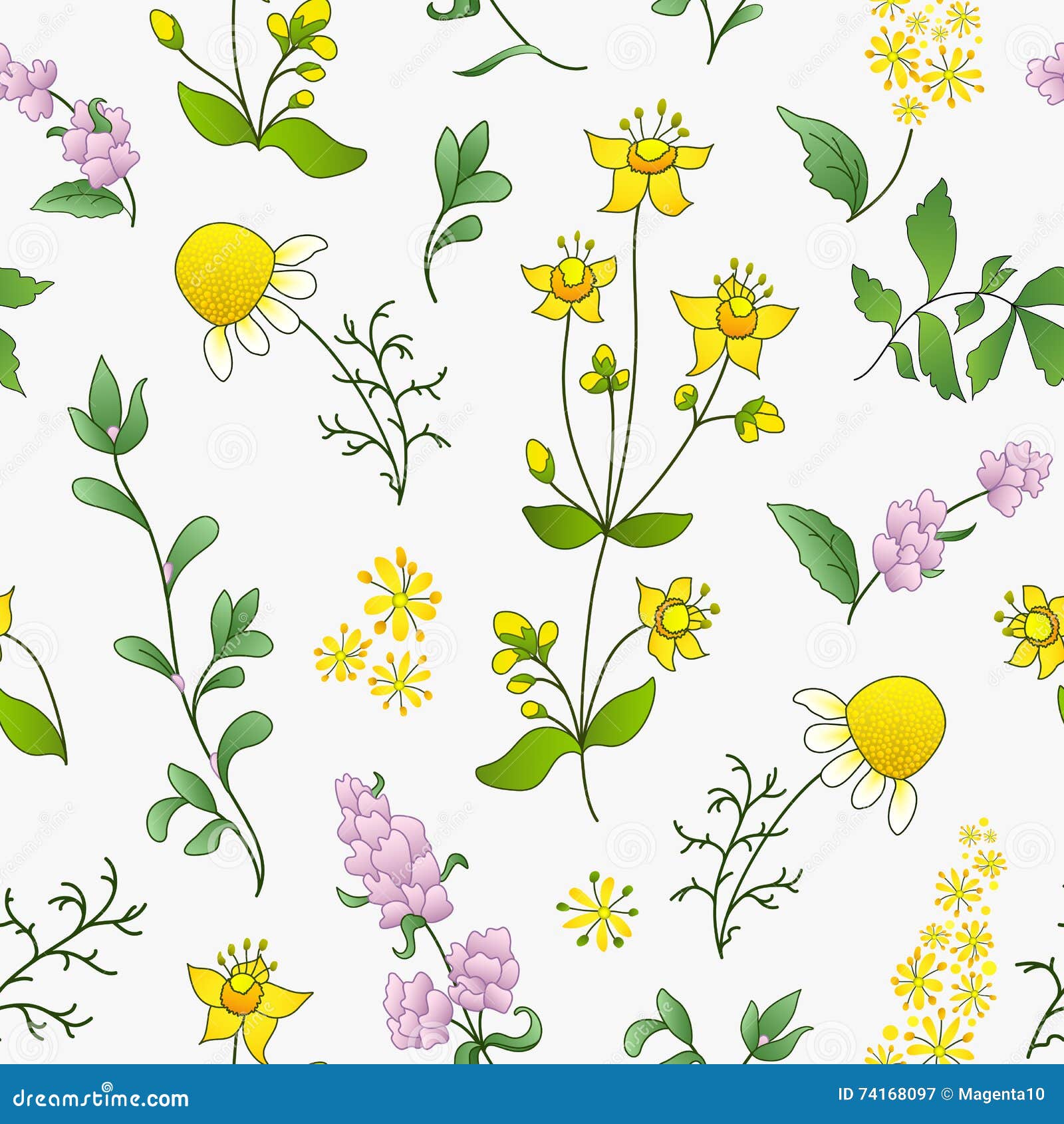 seamless pattern of officinal herbs